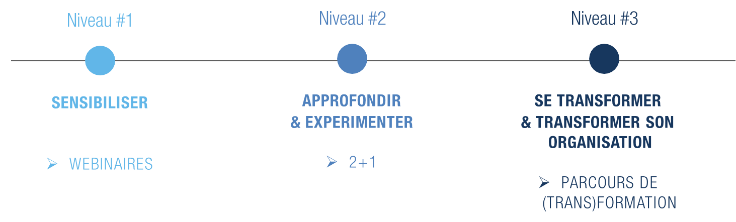 3 niveaux de formations